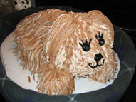 dog cake